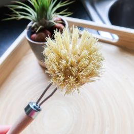Dish-Brush