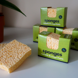 Sponges